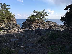 かんのんの浜の入り口から浜を望む