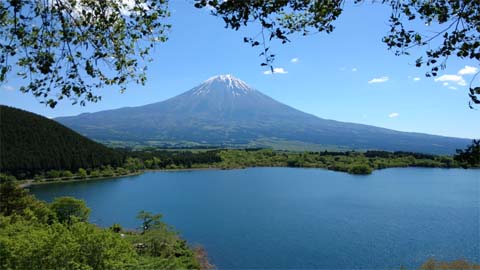 田貫湖キャンプ場