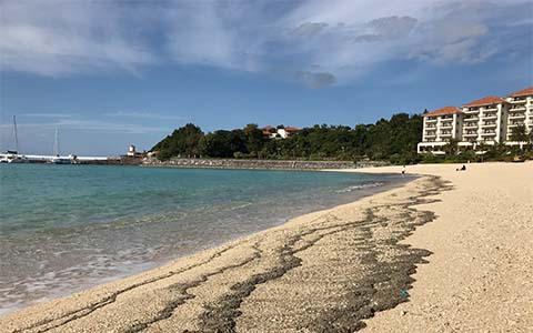 ブセナ海中公園のビーチ